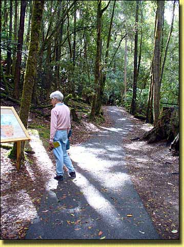 Track to Russell Falls