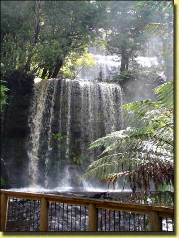 Russell Falls from below