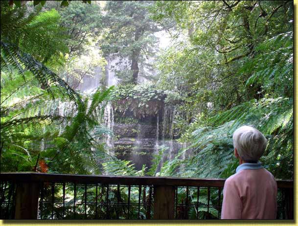 Russell Falls from above