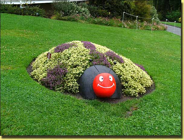 Novelty planting in lawn