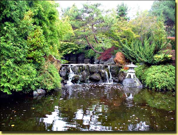 Scene in the Japanese Garden