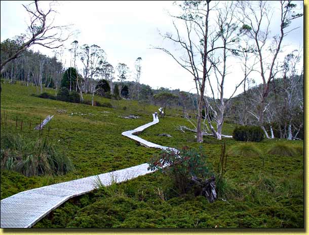 Cradle Valley Boardwalk