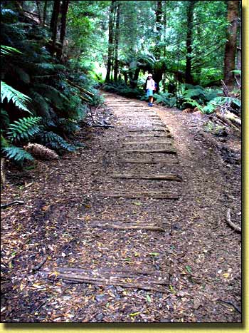 Remains of the North East Dundas Tramway